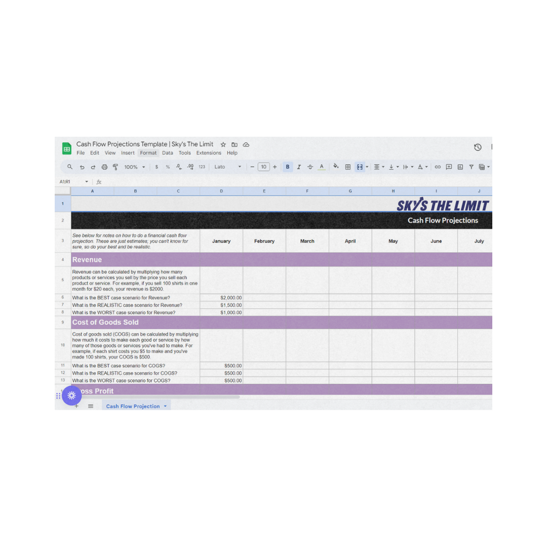 Cash Flow Projection Template Cash Flow Projection Template